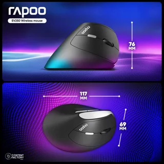 ماوس بی سیم رپو مدل EV250 102578655